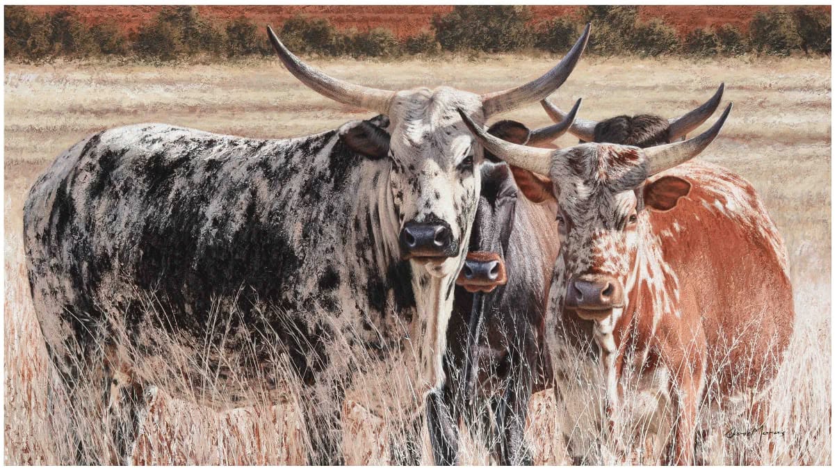 Danie Marais 001, a painting by Danie Marais