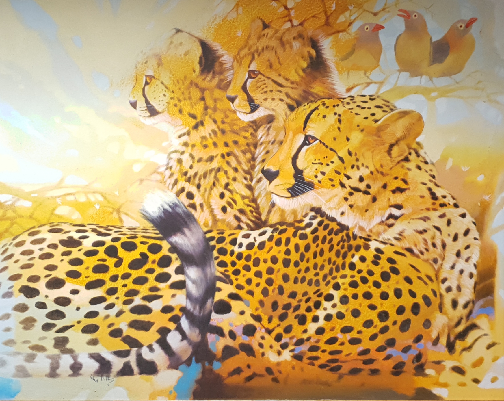 Work by Peter Botha
