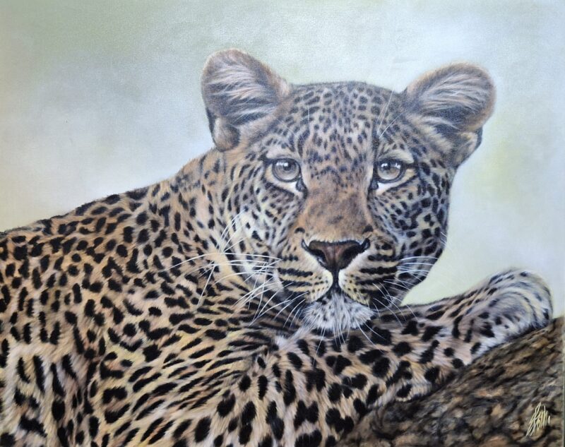 Ella Botha 002 by Ella Botha